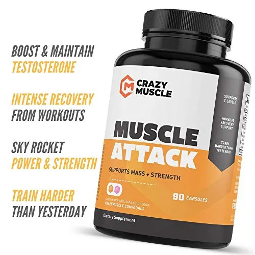 Get Stronger with Milk Thistle, Creatine and Muscle Attack