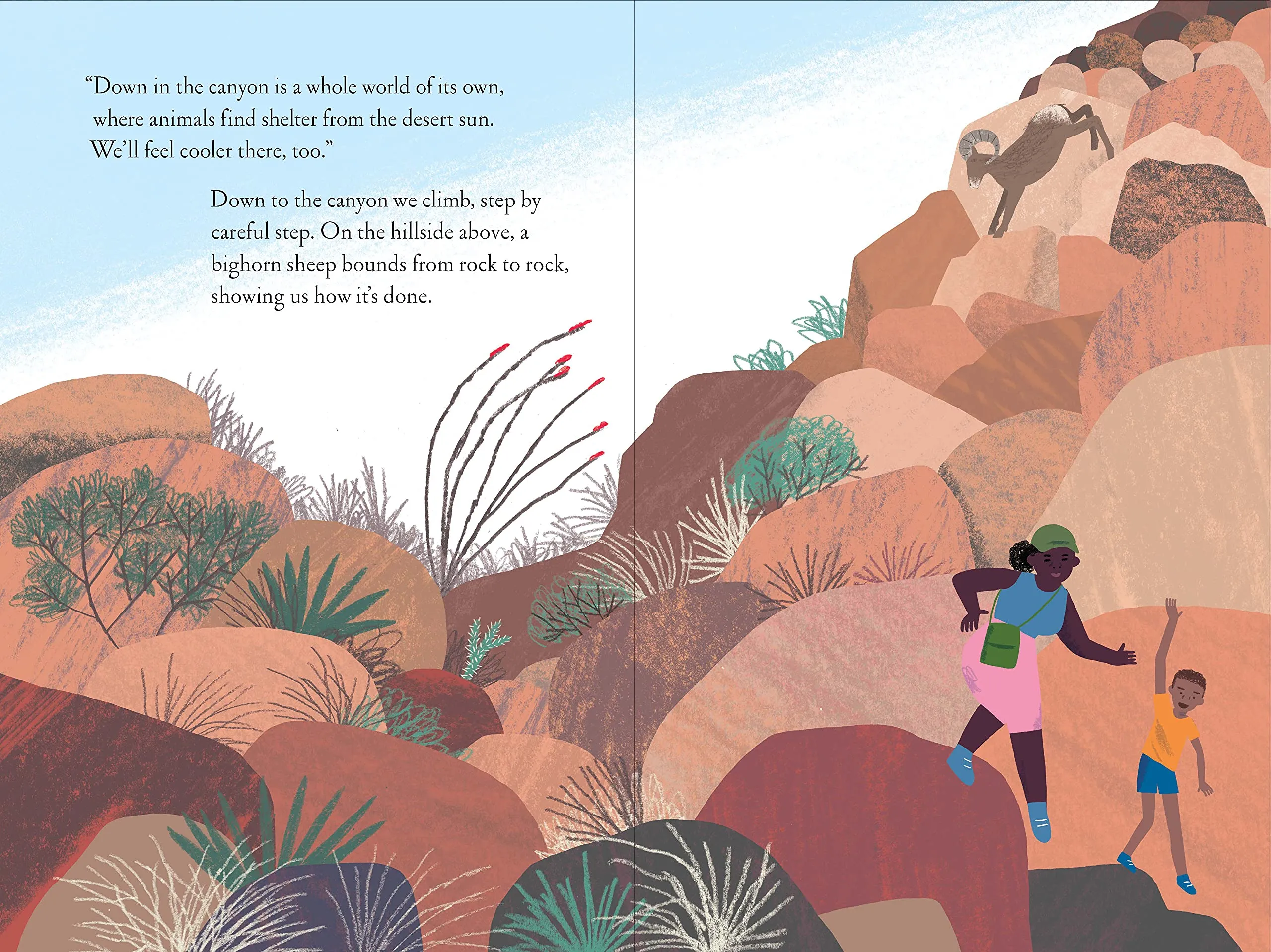 Over and Under the Canyon Book
