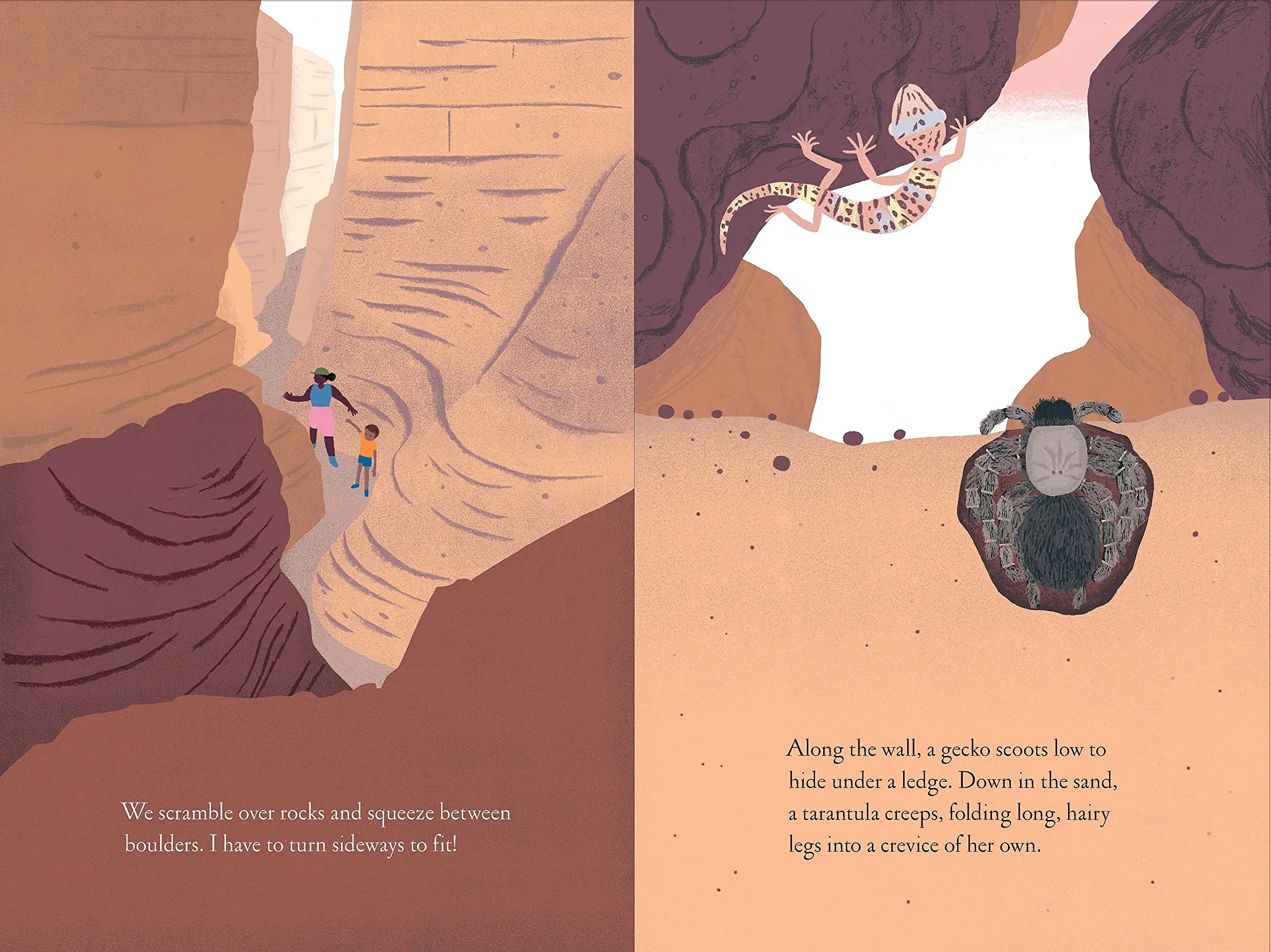 Over and Under the Canyon Book