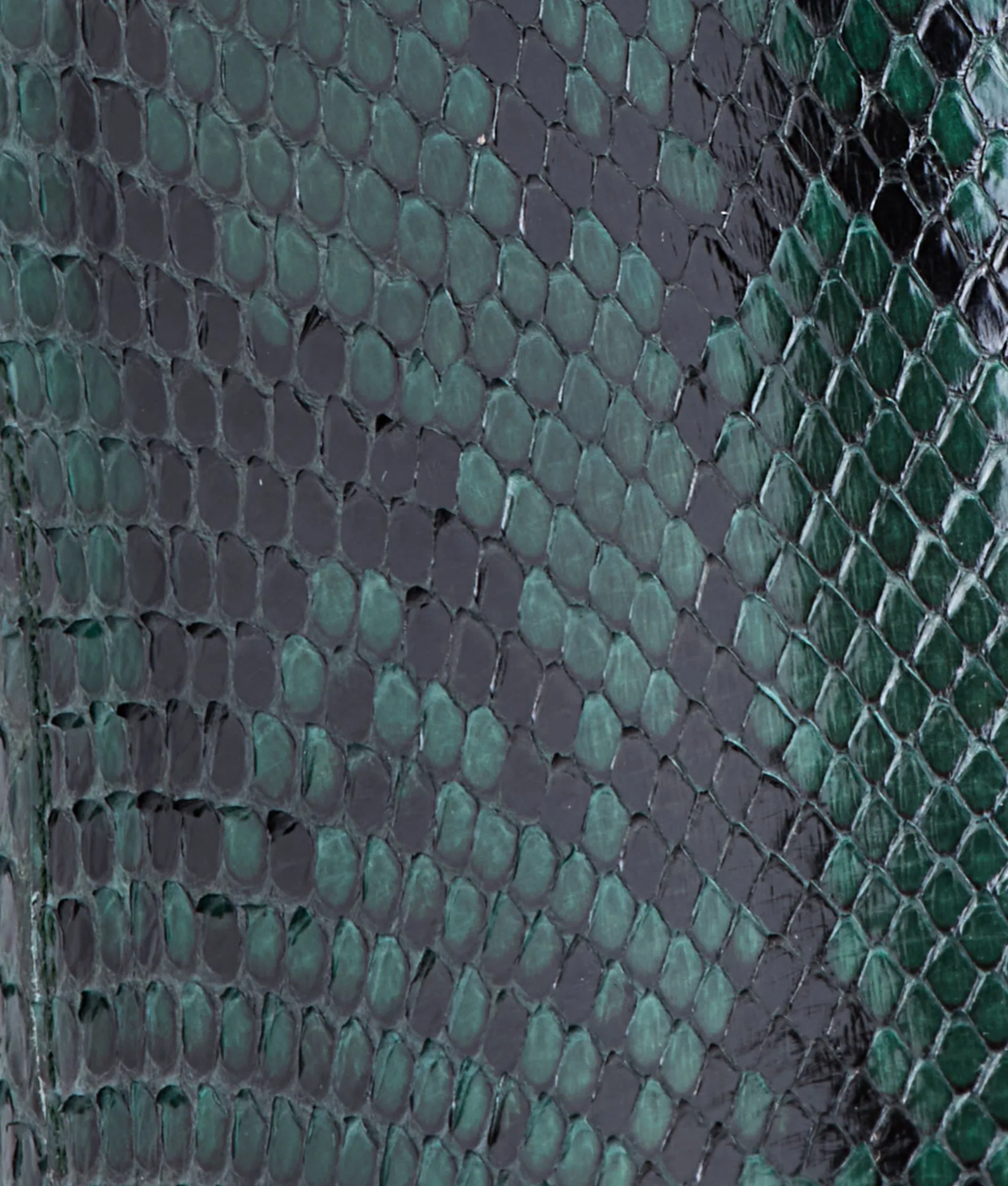 Presley Exotic :: Emerald